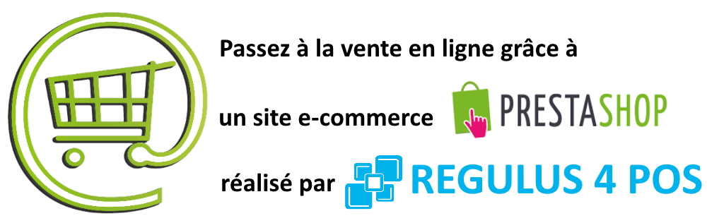 Vente en ligne site e commerce prestashop regulus 4 pos